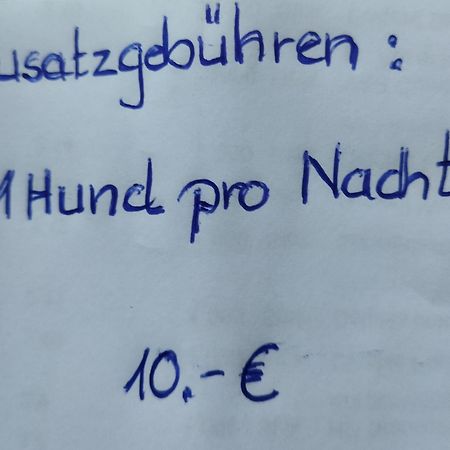 Aussergewoehnliche Atelierferienwohnung Mit Balkon An Der Donau Winzer Εξωτερικό φωτογραφία