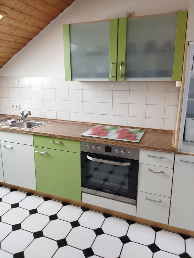 Aussergewoehnliche Atelierferienwohnung Mit Balkon An Der Donau Winzer Εξωτερικό φωτογραφία