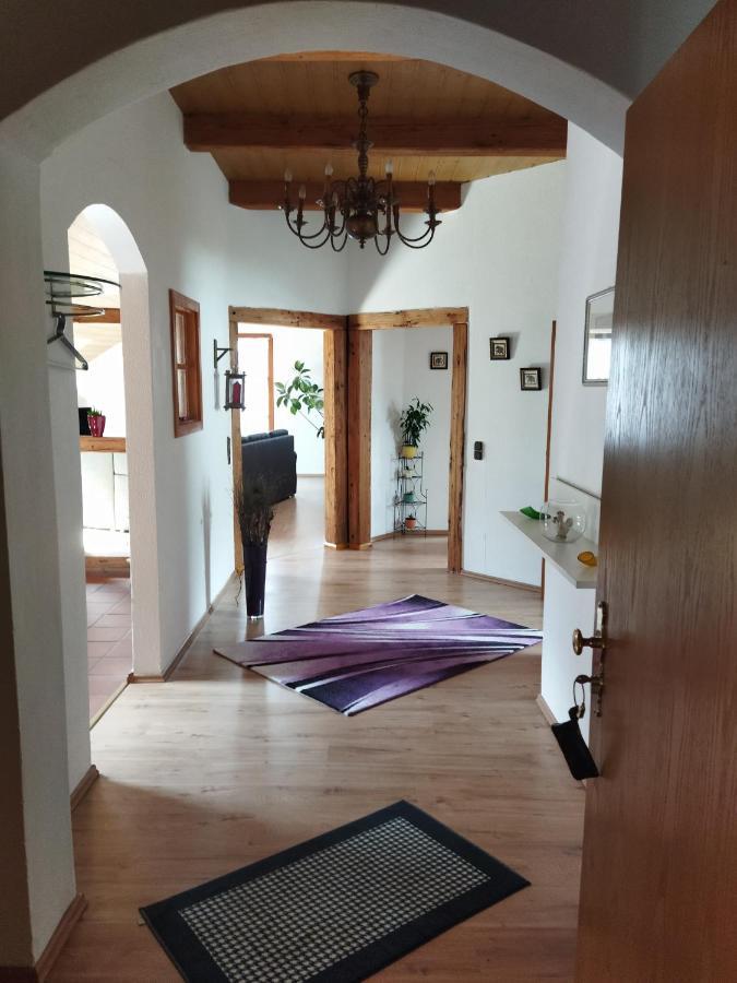 Aussergewoehnliche Atelierferienwohnung Mit Balkon An Der Donau Winzer Εξωτερικό φωτογραφία