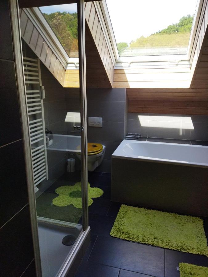 Aussergewoehnliche Atelierferienwohnung Mit Balkon An Der Donau Winzer Εξωτερικό φωτογραφία