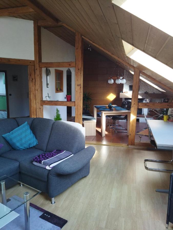 Aussergewoehnliche Atelierferienwohnung Mit Balkon An Der Donau Winzer Εξωτερικό φωτογραφία