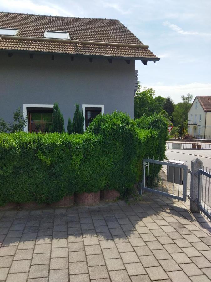 Aussergewoehnliche Atelierferienwohnung Mit Balkon An Der Donau Winzer Εξωτερικό φωτογραφία