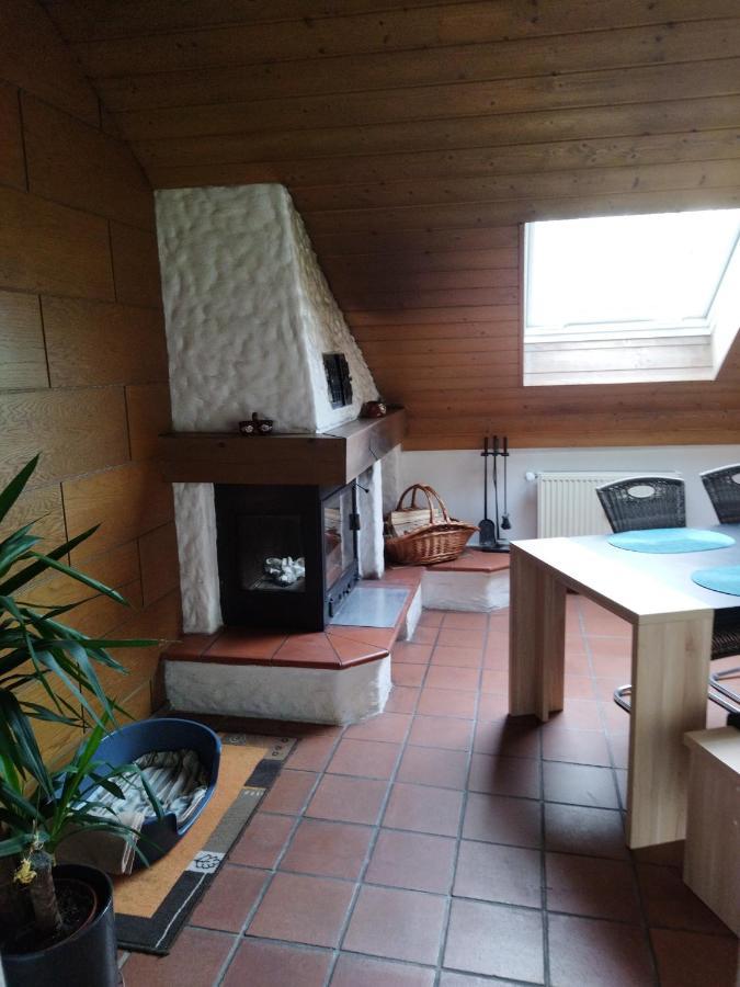 Aussergewoehnliche Atelierferienwohnung Mit Balkon An Der Donau Winzer Εξωτερικό φωτογραφία