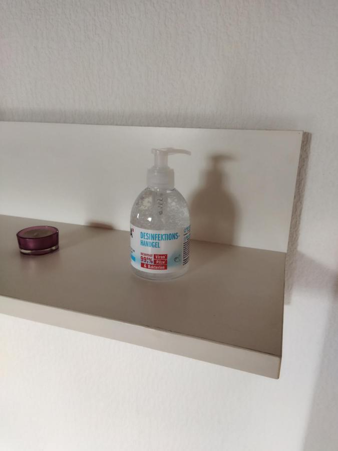 Aussergewoehnliche Atelierferienwohnung Mit Balkon An Der Donau Winzer Εξωτερικό φωτογραφία