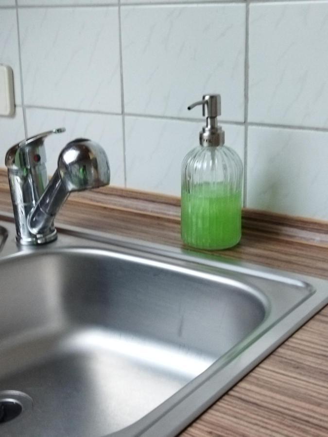 Aussergewoehnliche Atelierferienwohnung Mit Balkon An Der Donau Winzer Εξωτερικό φωτογραφία