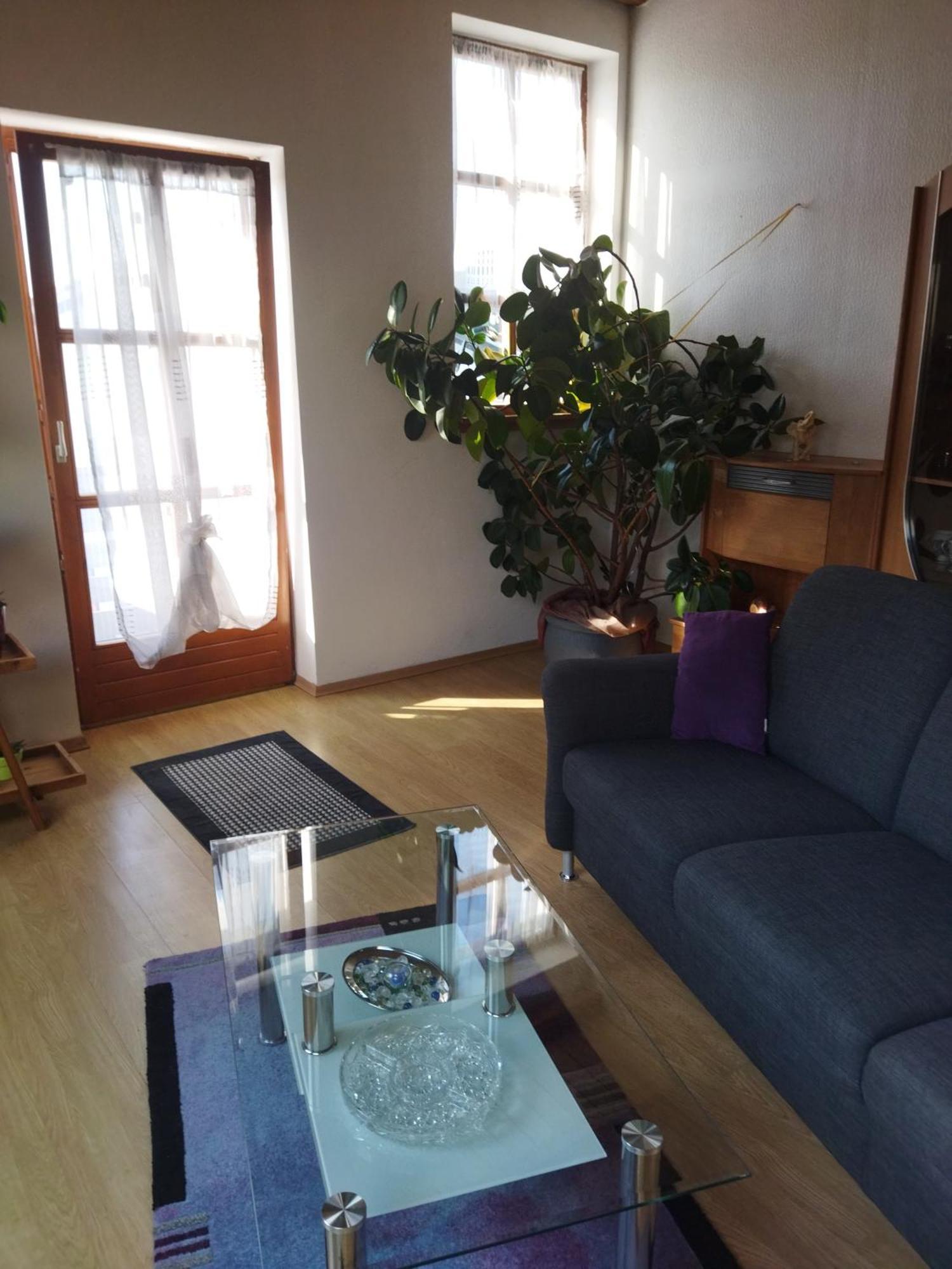 Aussergewoehnliche Atelierferienwohnung Mit Balkon An Der Donau Winzer Εξωτερικό φωτογραφία