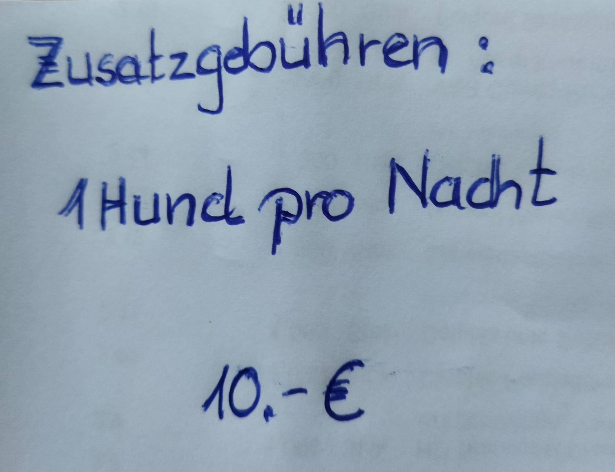 Aussergewoehnliche Atelierferienwohnung Mit Balkon An Der Donau Winzer Εξωτερικό φωτογραφία